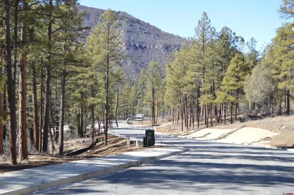 $325,000 | 46 Avalanche Lily Drive, Durango, CO 81301