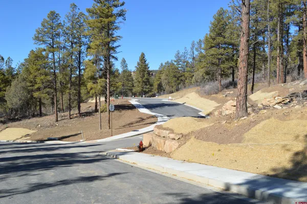 $325,000 | 46 Avalanche Lily Drive, Durango, CO 81301