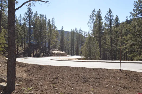 $325,000 | 46 Avalanche Lily Drive, Durango, CO 81301
