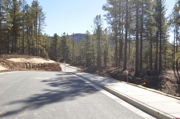 $325,000 | 46 Avalanche Lily Drive, Durango, CO 81301