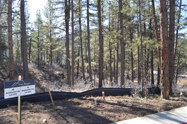 a view of a yard with trees