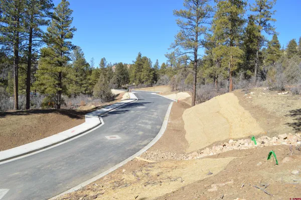 $325,000 | 46 Avalanche Lily Drive, Durango, CO 81301