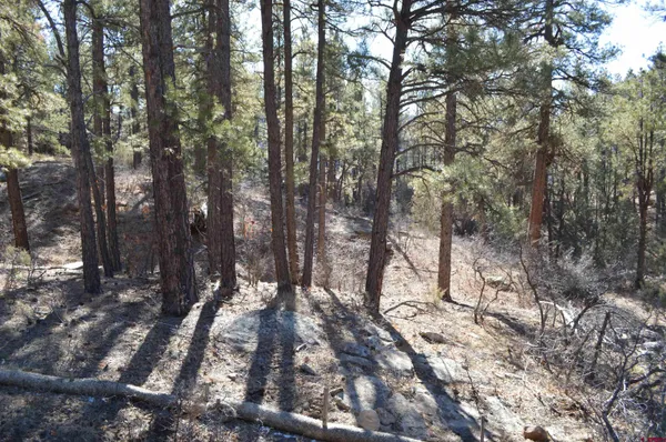 a view of outdoor space and city view