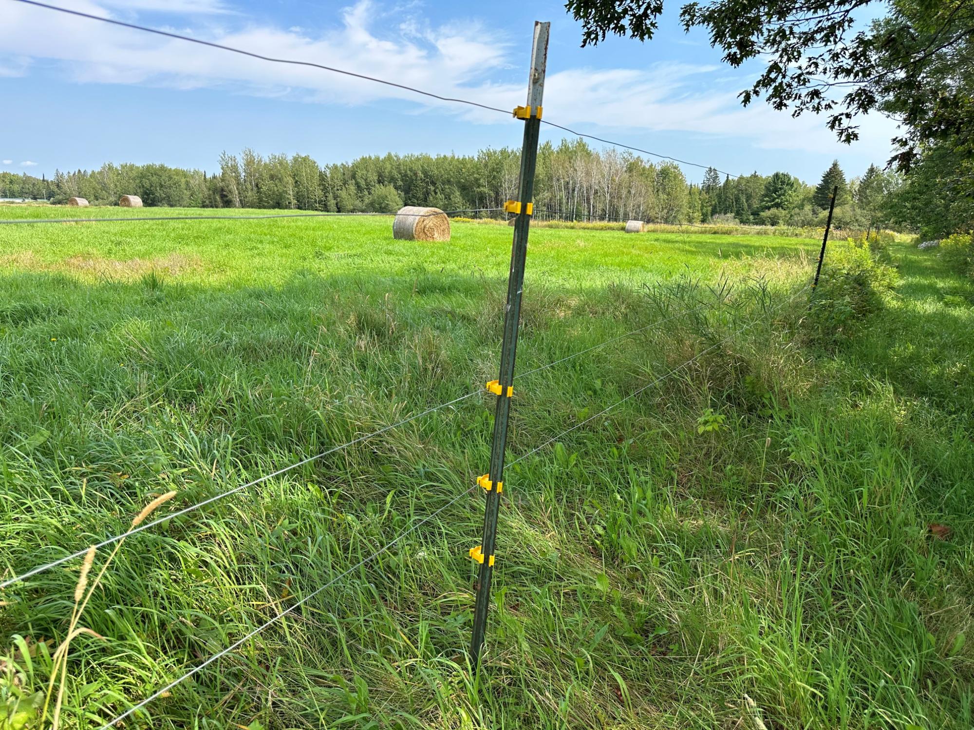 On Stadium Road Brantwood, WI 54513 - Photo 9 of 10