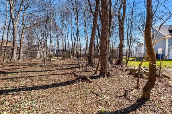 a view of a yard with a tree
