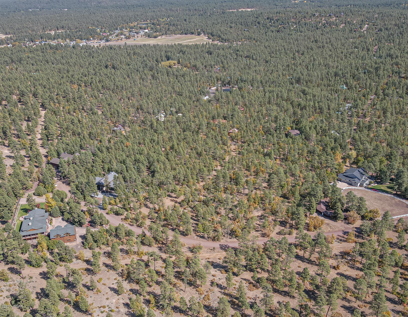 4.1-acres 4.1-acres Rim Road Show Low, AZ 85901 - Photo 11 of 23