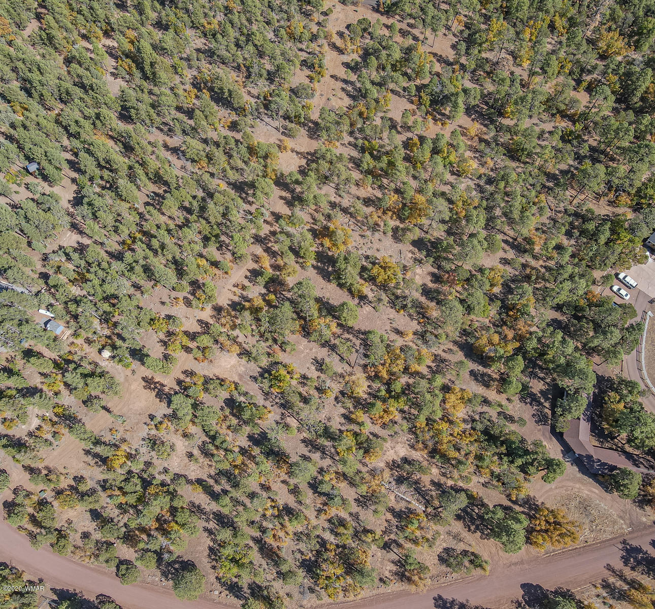 4.1-acres 4.1-acres Rim Road Show Low, AZ 85901 - Photo 12 of 23