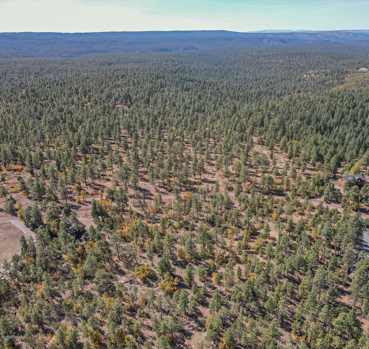 4.1-acres 4.1-acres Rim Road Show Low, AZ 85901 - Photo 13 of 23