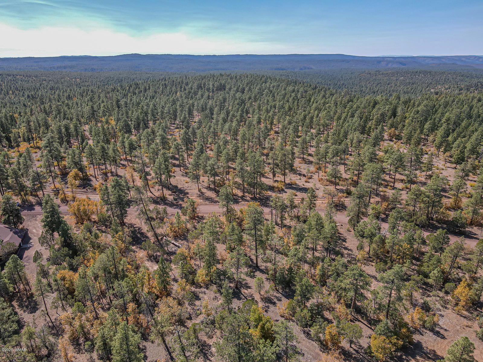 4.1-acres 4.1-acres Rim Road Show Low, AZ 85901 - Photo 15 of 23