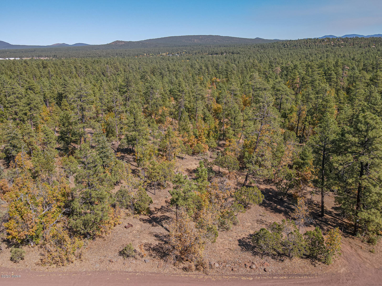 4.1-acres 4.1-acres Rim Road Show Low, AZ 85901 - Photo 16 of 23