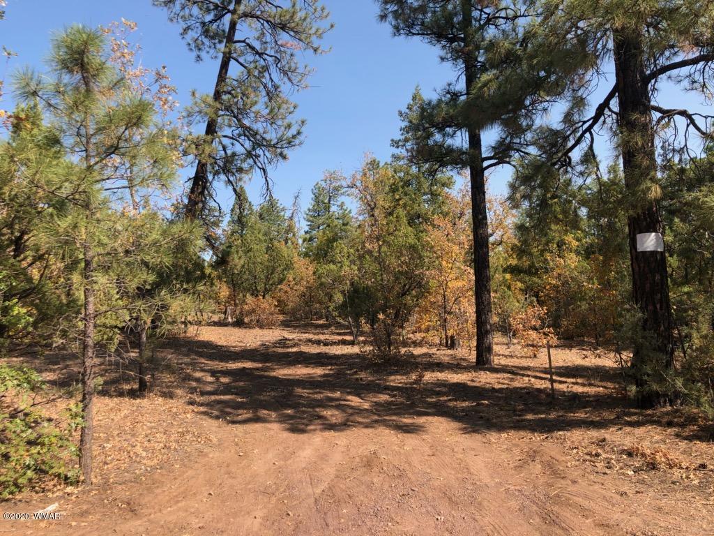 4.1-acres 4.1-acres Rim Road Show Low, AZ 85901 - Photo 22 of 23