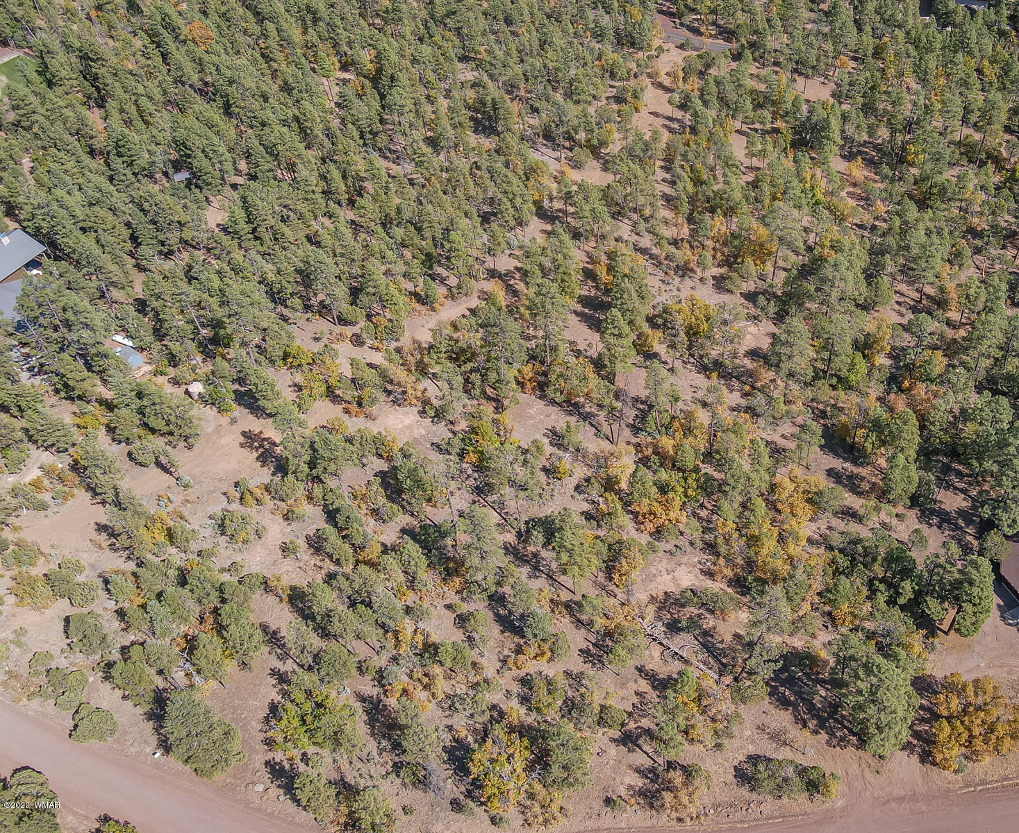 4.1-acres 4.1-acres Rim Road Show Low, AZ 85901 - Photo 9 of 23