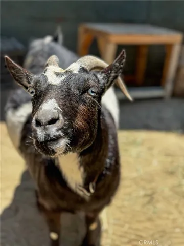 $8,995,000 | 2173 Orchard Drive, Newport Beach, CA 92660