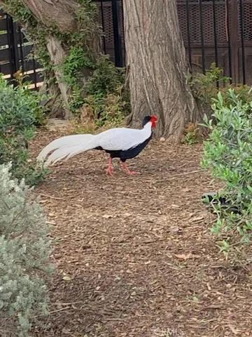 $8,995,000 | 2173 Orchard Drive, Newport Beach, CA 92660