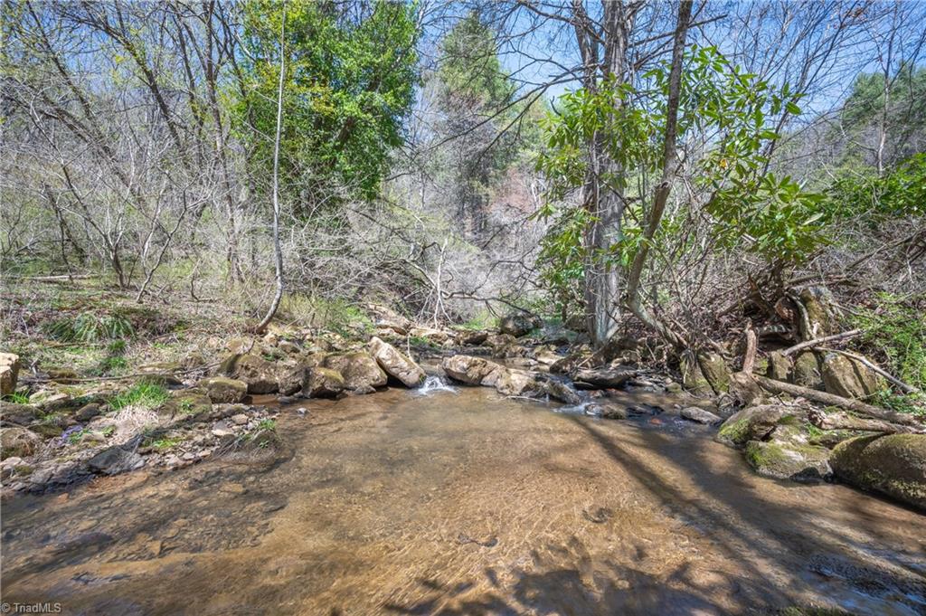 931 Maple Shade Road Laurel Fork, VA 24352 - Photo 48 of 50 Gallery Image 48