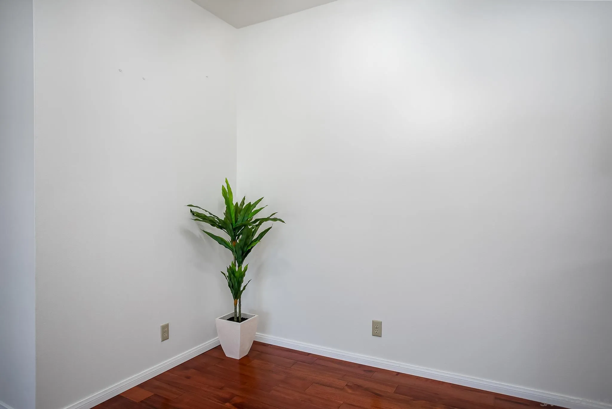 13816 Midland Road Poway, CA 92064 - Photo 5 of 37 a view of a small space with wooden floor and a potted plant