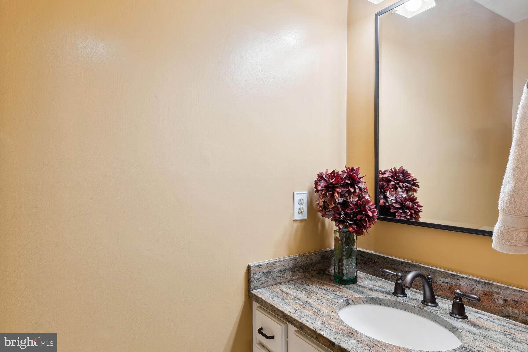 6603 Forsythia Street Springfield, VA 22150 - Photo 31 of 73 Perfectly Polished Powder Room!
