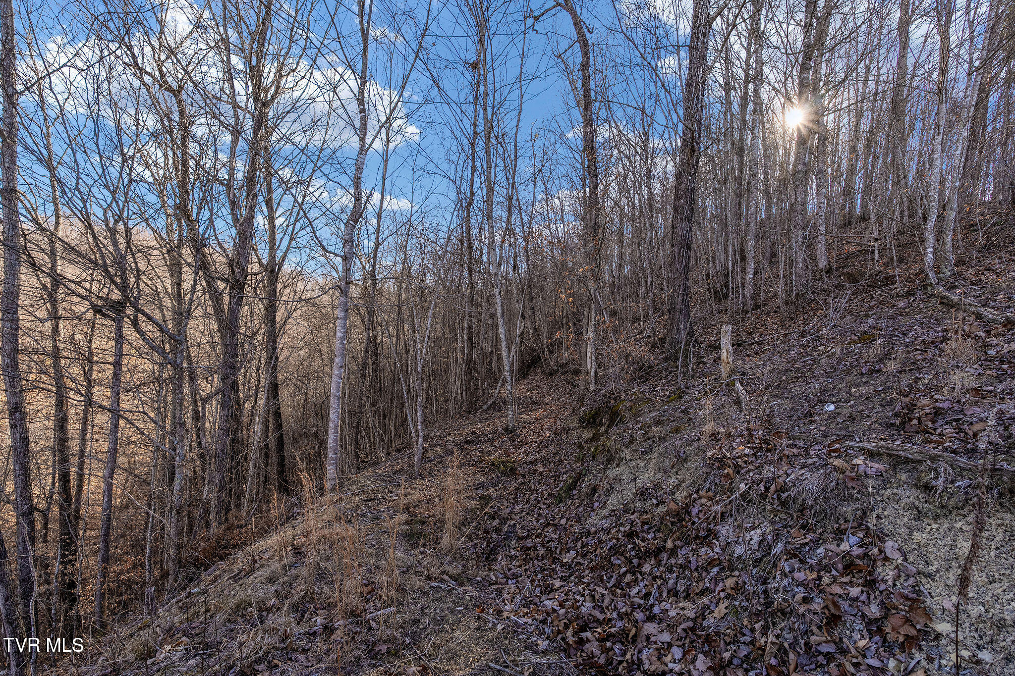 Tbd Cripple Creek Road Watauga, TN 37694 - Photo 36 of 46 DSC08538