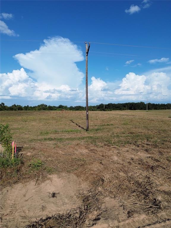 0 Grant Prairie Road, Unit 2 Franklin, TX 77856 - Photo 6 of 6 Gallery Image 6