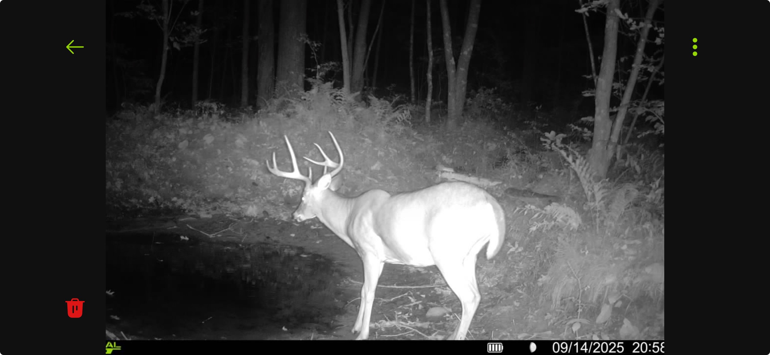 N8771 Fye Road Trego, WI 54888 - Photo 44 of 47