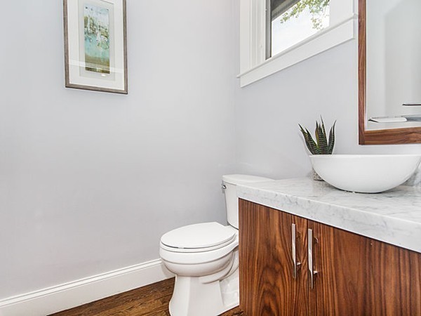24-26 Beaconsfield Road, Unit 26 Brookline, MA 02445 - Photo 9 of 25 a bathroom with a toilet and a potted plant