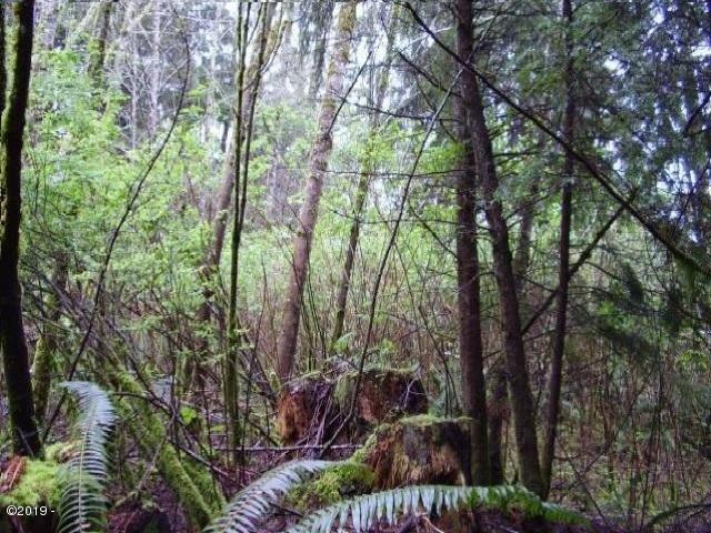 313 Brooten Road Pacific City, OR 97135 - Photo 4 of 5 Brooten Hill lot