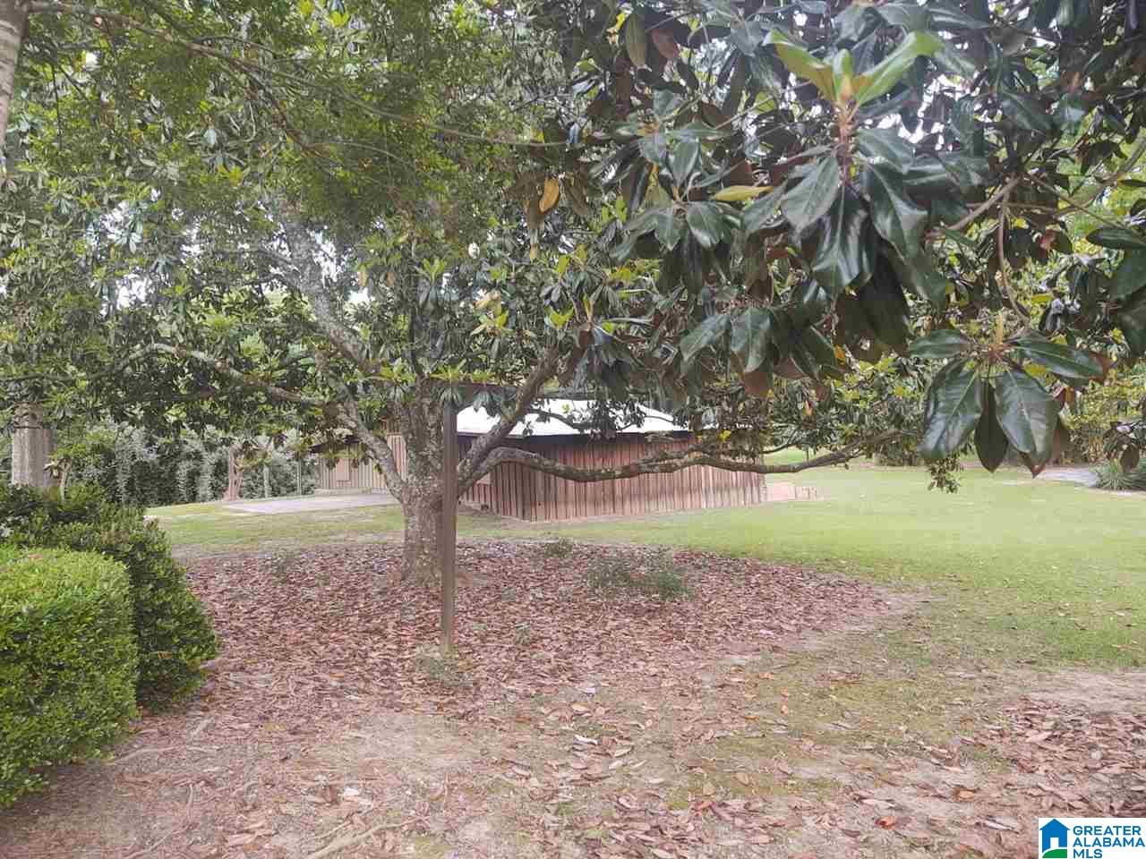 916 Eddings Town Road Montevallo, AL 35115 - Photo 36 of 45