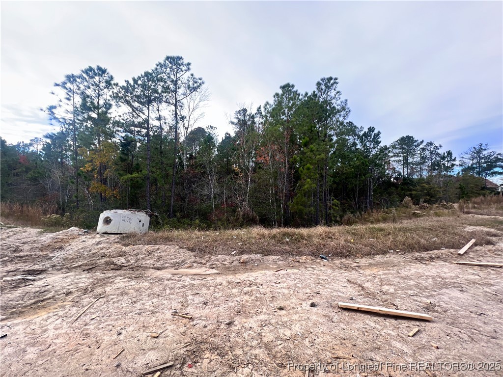 67 Steeple Ridge Cameron, NC 28326 - Photo 2 of 4 Gallery Image 2