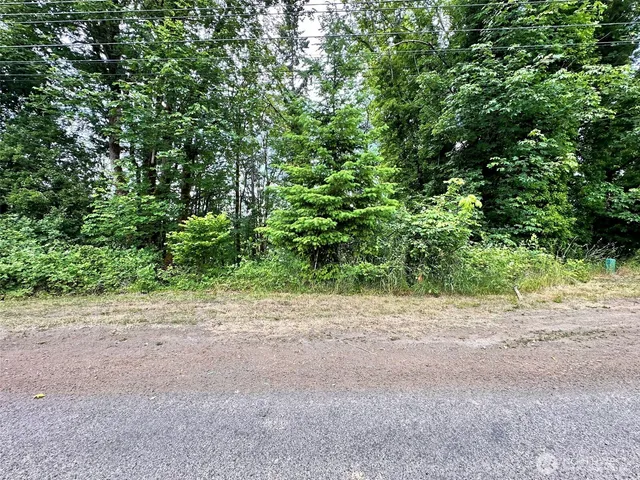 a view of a field with plants and trees