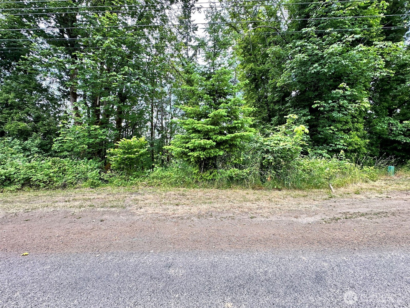 -xx Northeast 2nd Street Winlock, WA 98596 - Photo 12 of 15 a view of a field with plants and trees