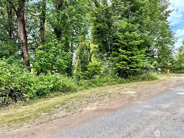 a view of a yard with a tree