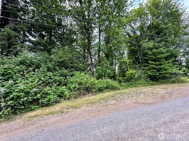 a view of a field with plants and trees