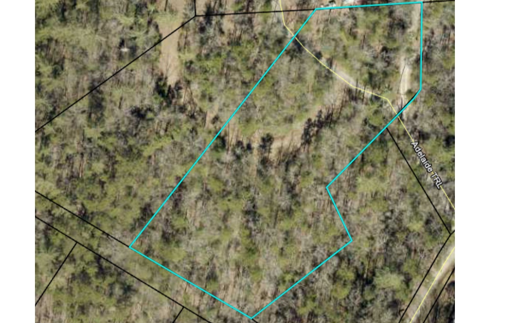 Adelaide Trail Blue Ridge, GA 30513 - Photo 11 of 12 Additional View