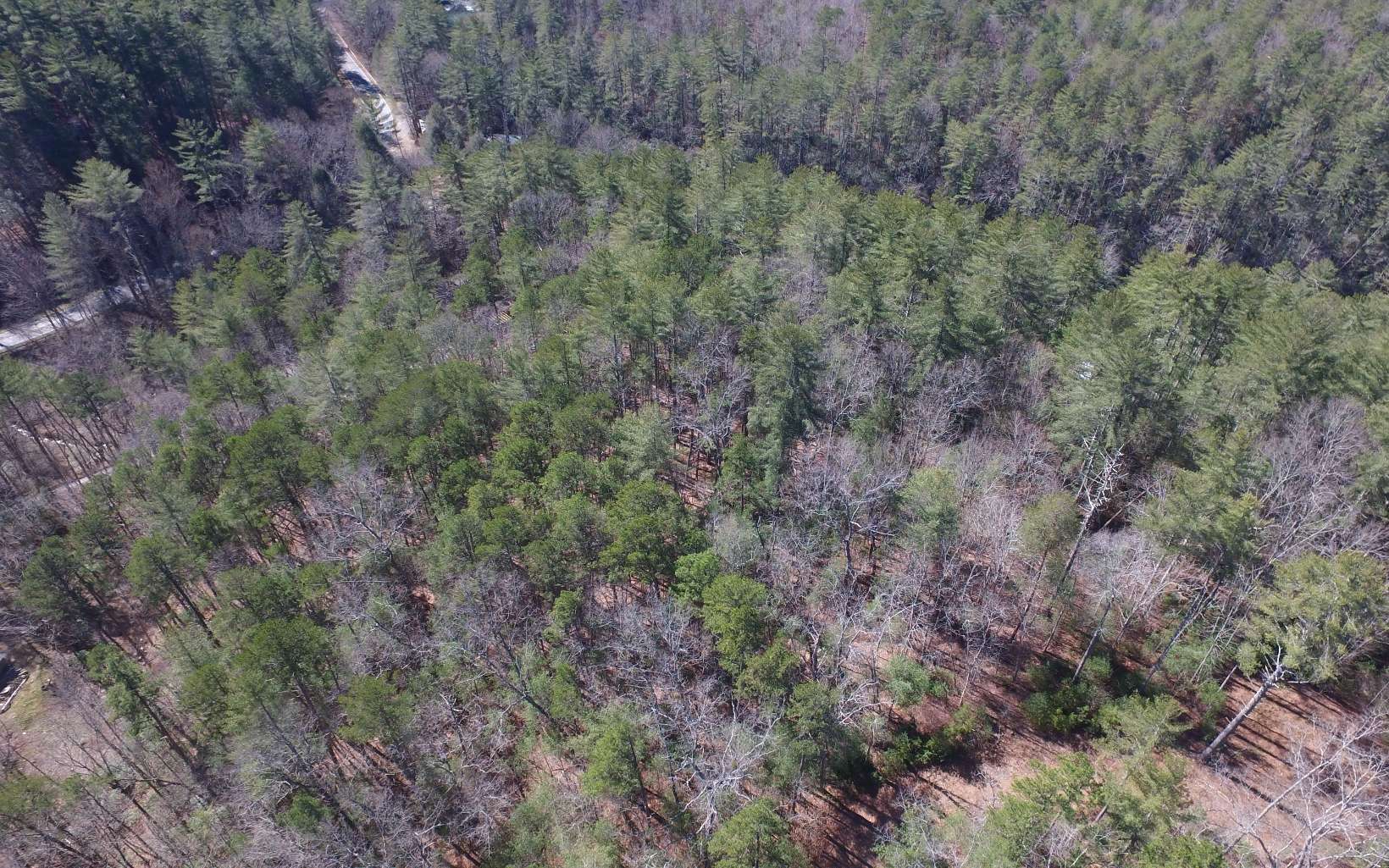 Adelaide Trail Blue Ridge, GA 30513 - Photo 9 of 12 Additional View