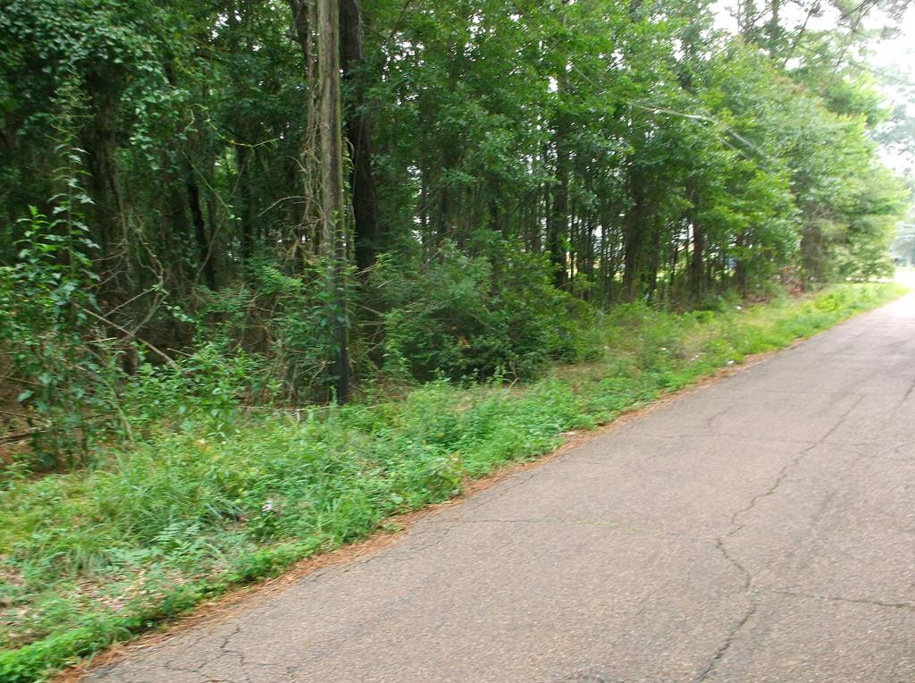 534 11th Street McComb, MS 39648 - Photo 1 of 3 Main View