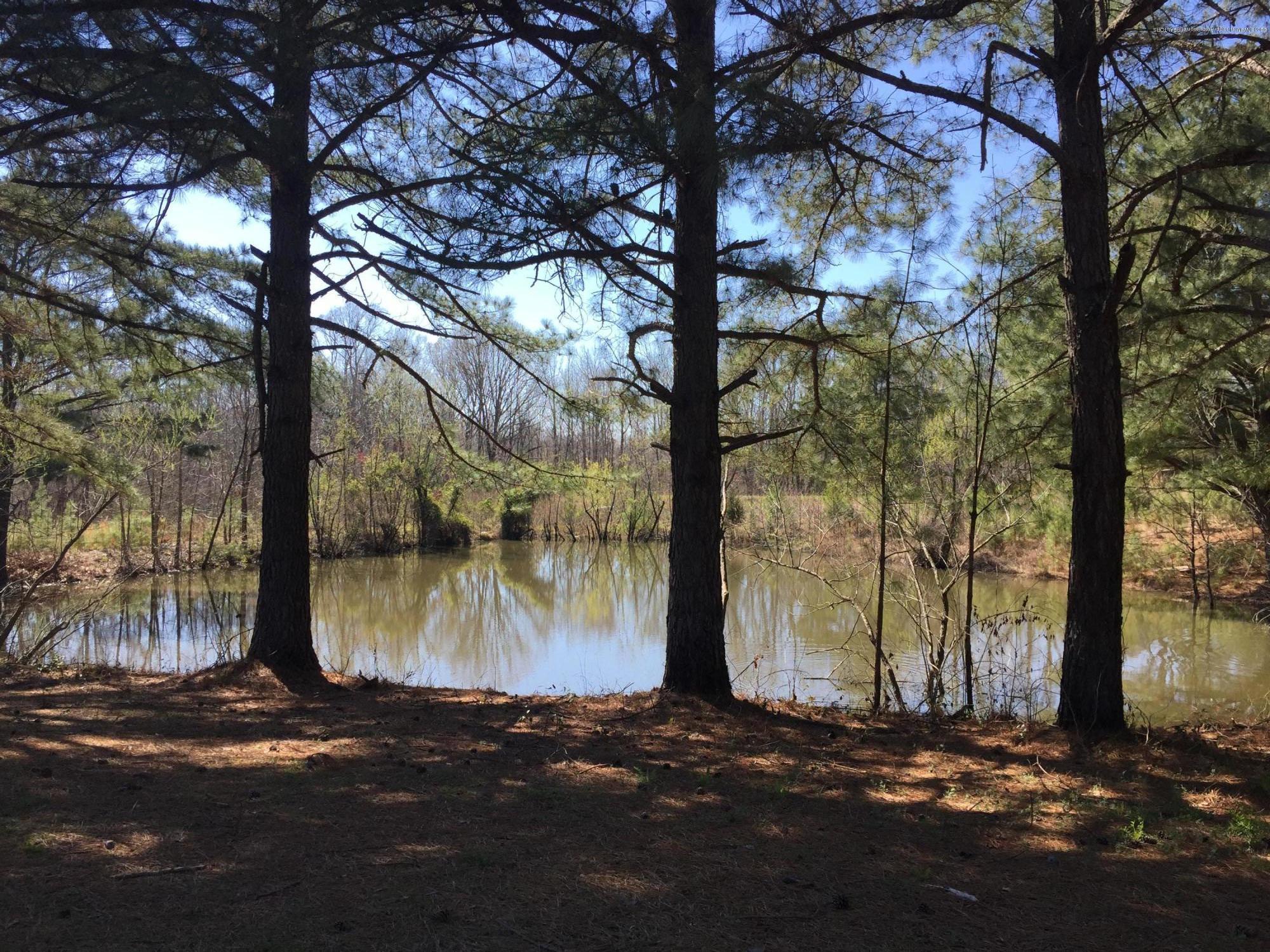 505 Bend Road Coldwater, MS 38618 - Photo 14 of 17 IMG_3552