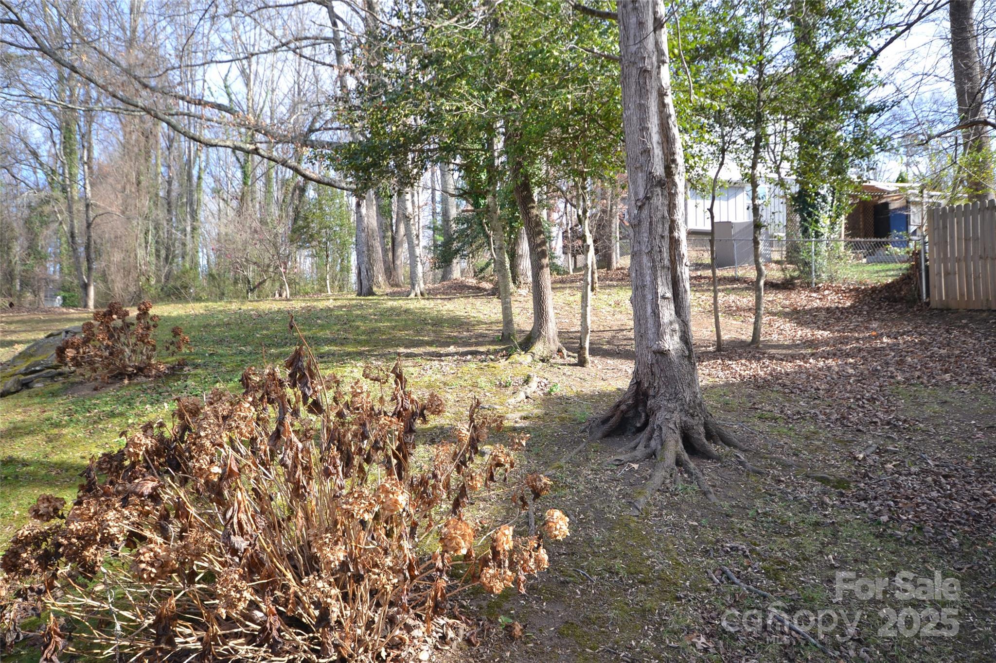 99999 London Road Asheville, NC 28803 - Photo 3 of 6