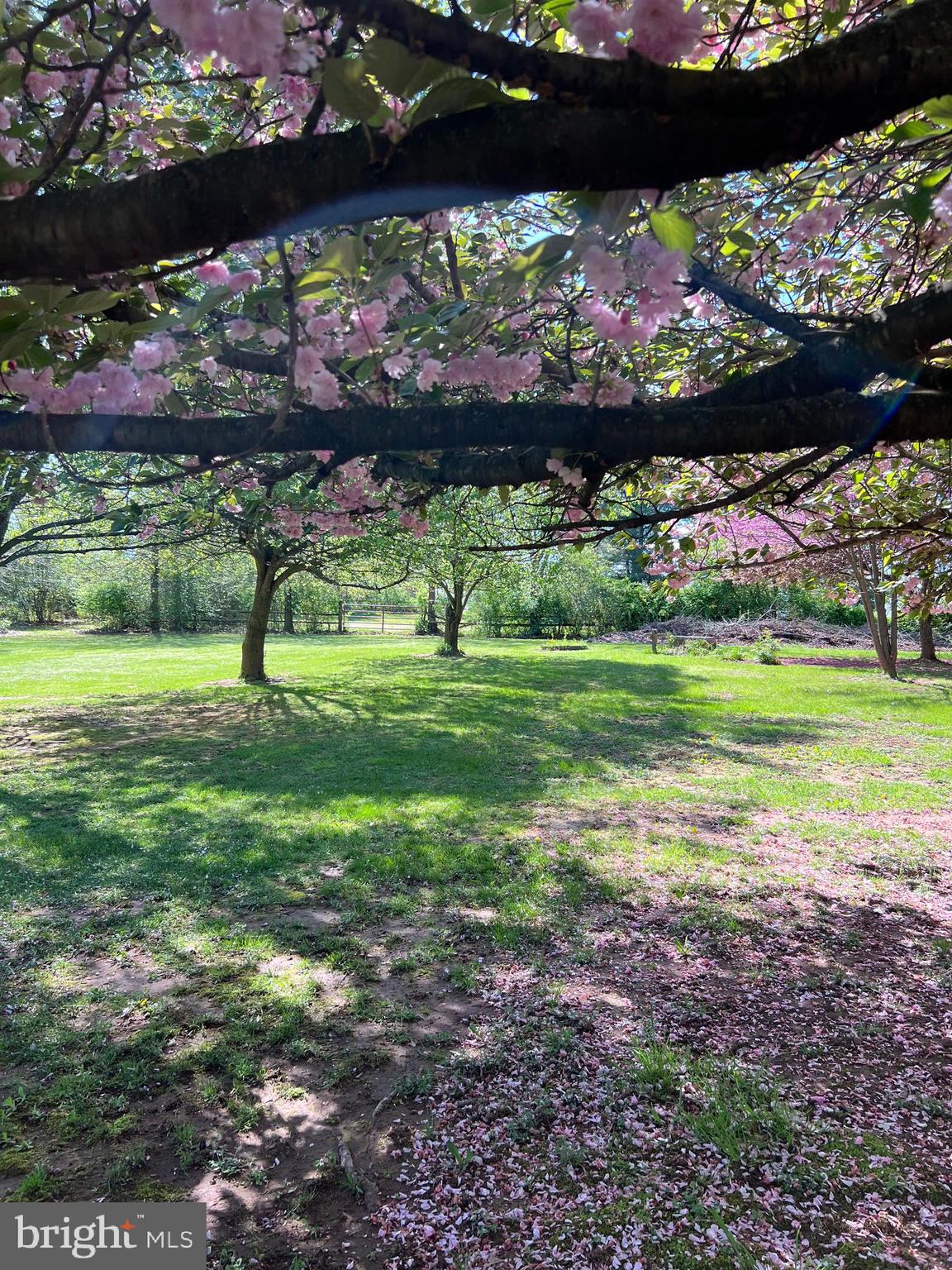 2226 Harney Road Littlestown, PA 17340 - Photo 105 of 131