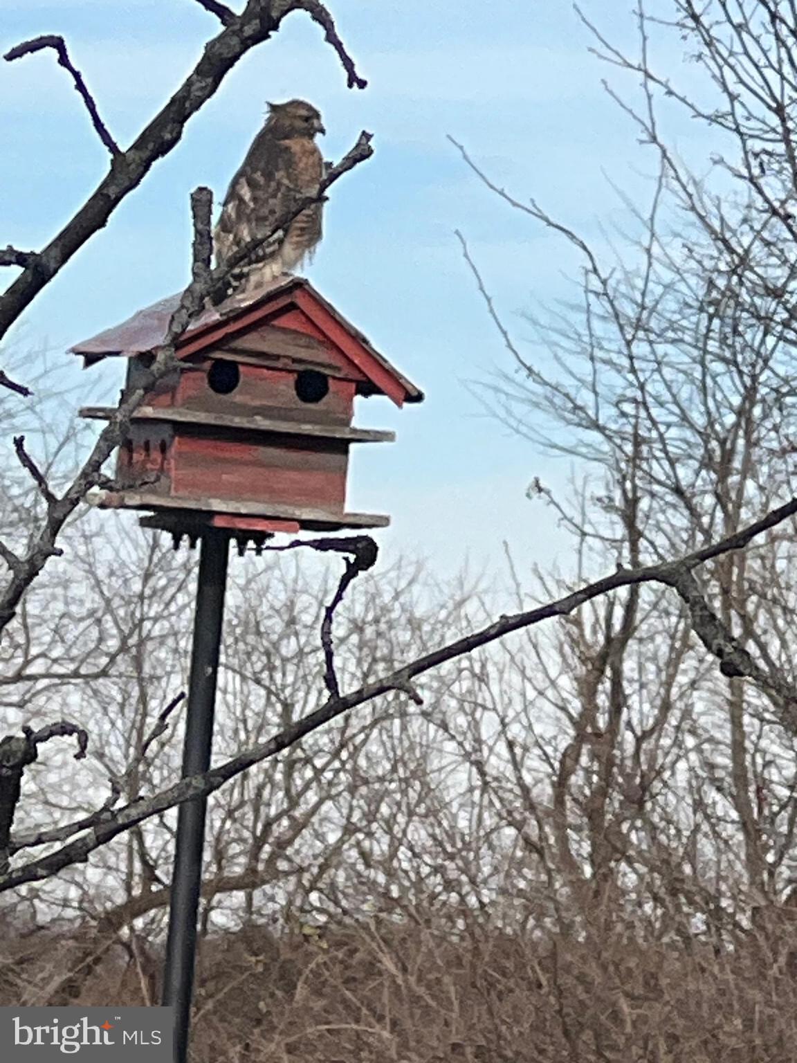 2226 Harney Road Littlestown, PA 17340 - Photo 108 of 131