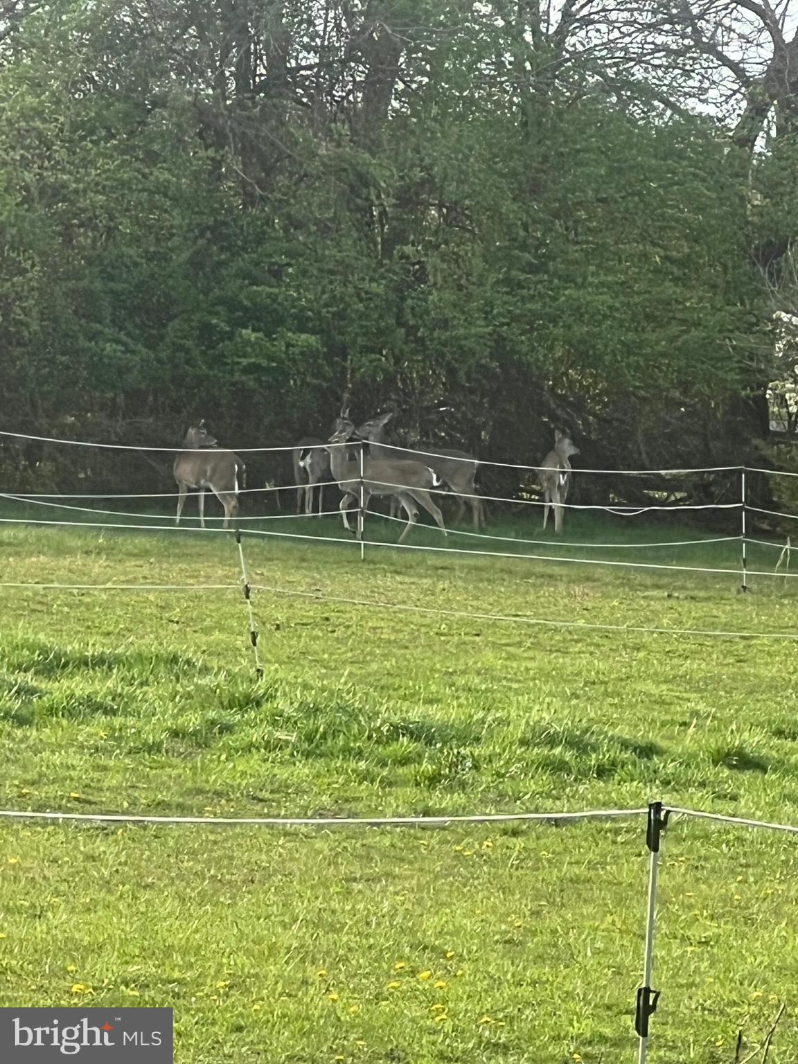 2226 Harney Road Littlestown, PA 17340 - Photo 110 of 131 a view of a swimming pool with an outdoor seating