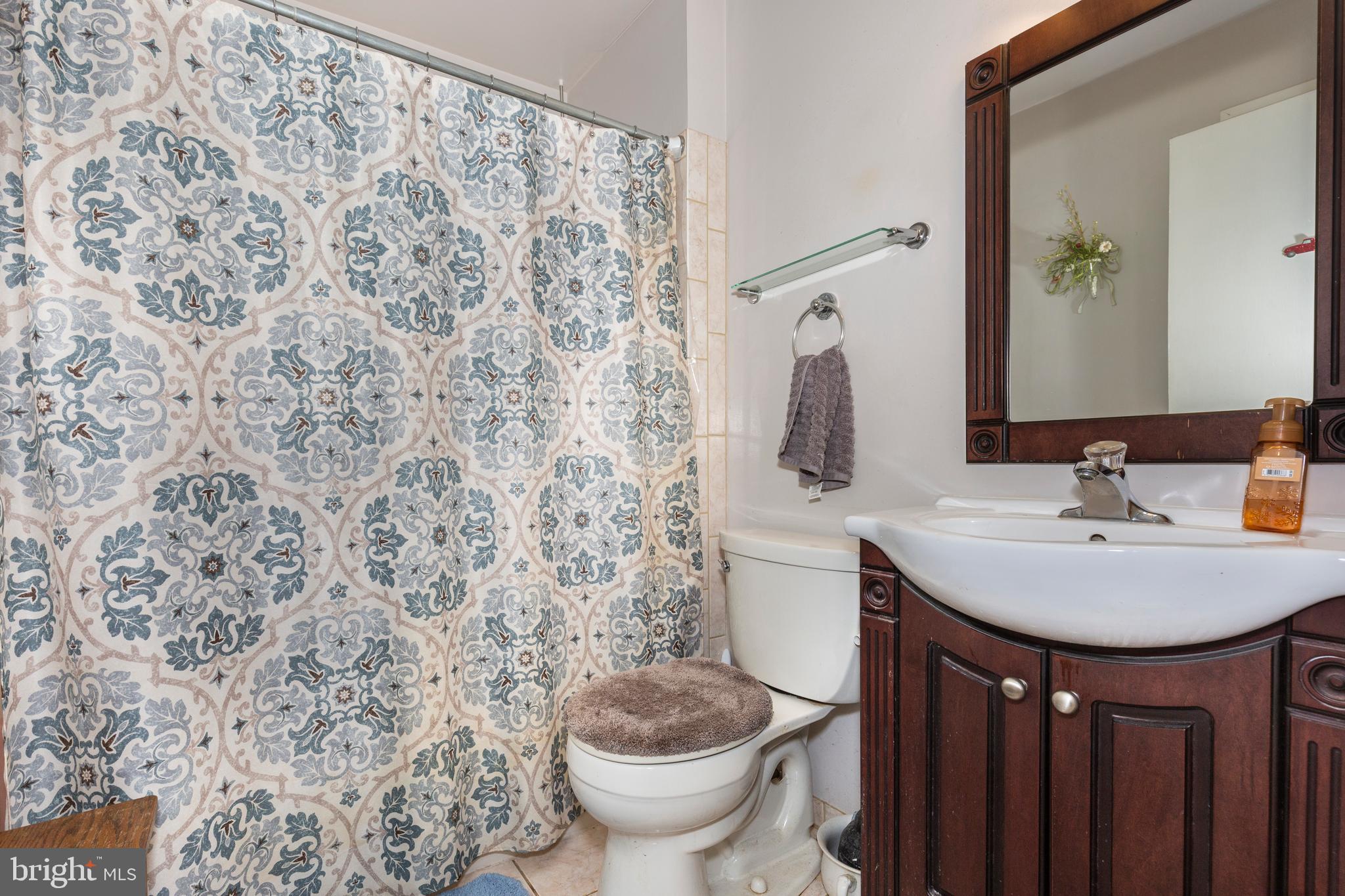 2226 Harney Road Littlestown, PA 17340 - Photo 59 of 131 a bathroom with a sink toilet and mirror