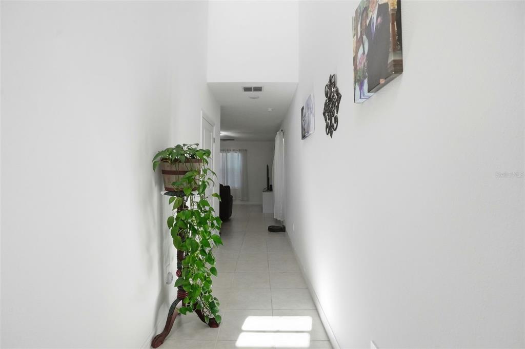 13712 Newbridge Street Spring Hill, FL 34609 - Photo 3 of 35 a close view of a potted plant in a corridor