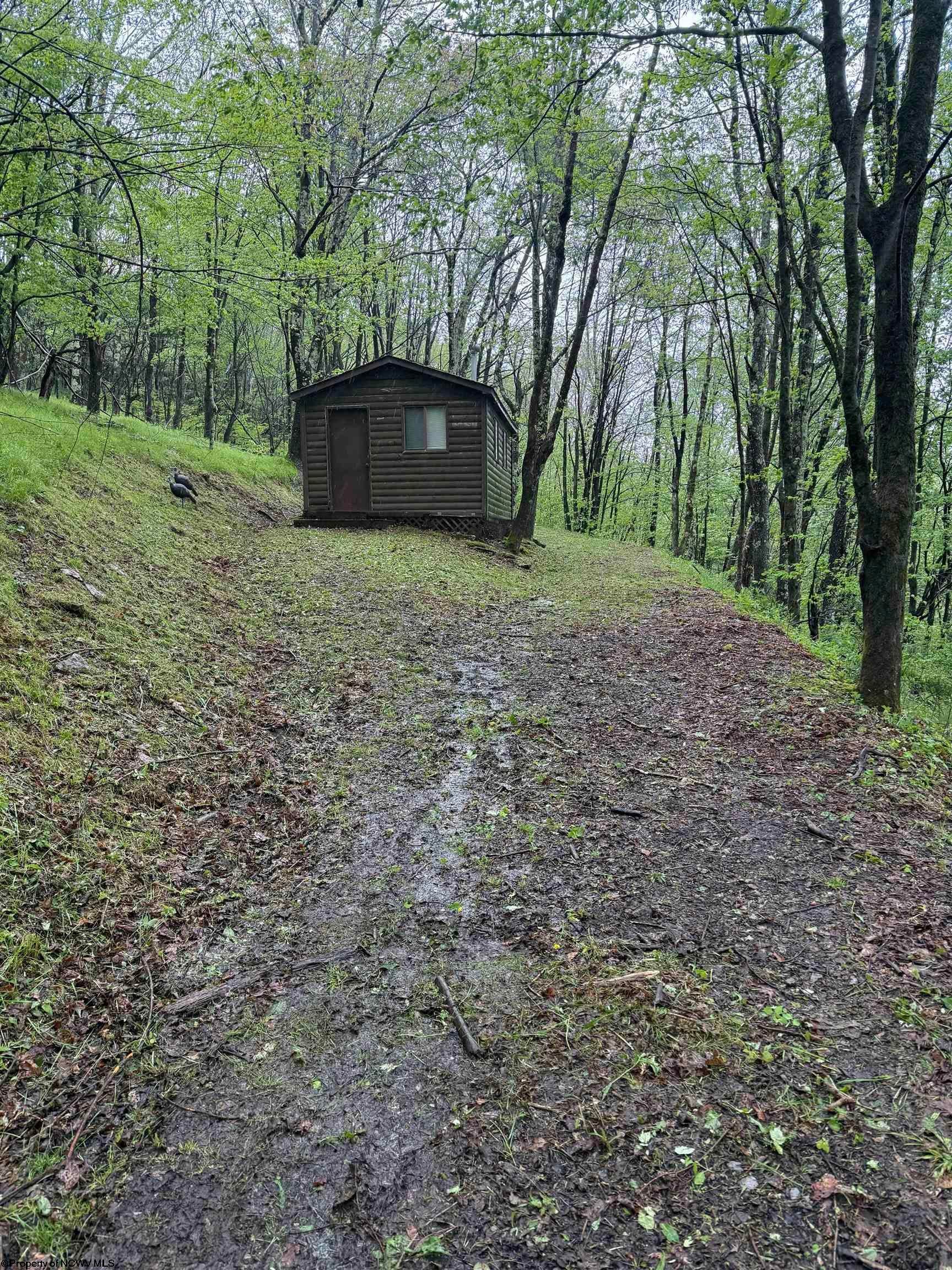 1019 Thunderstruck Road Dryfork, WV 26263 - Photo 13 of 19 Gallery Image 13