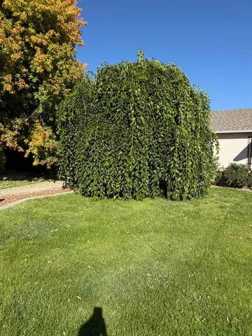 a view of a house with a backyard