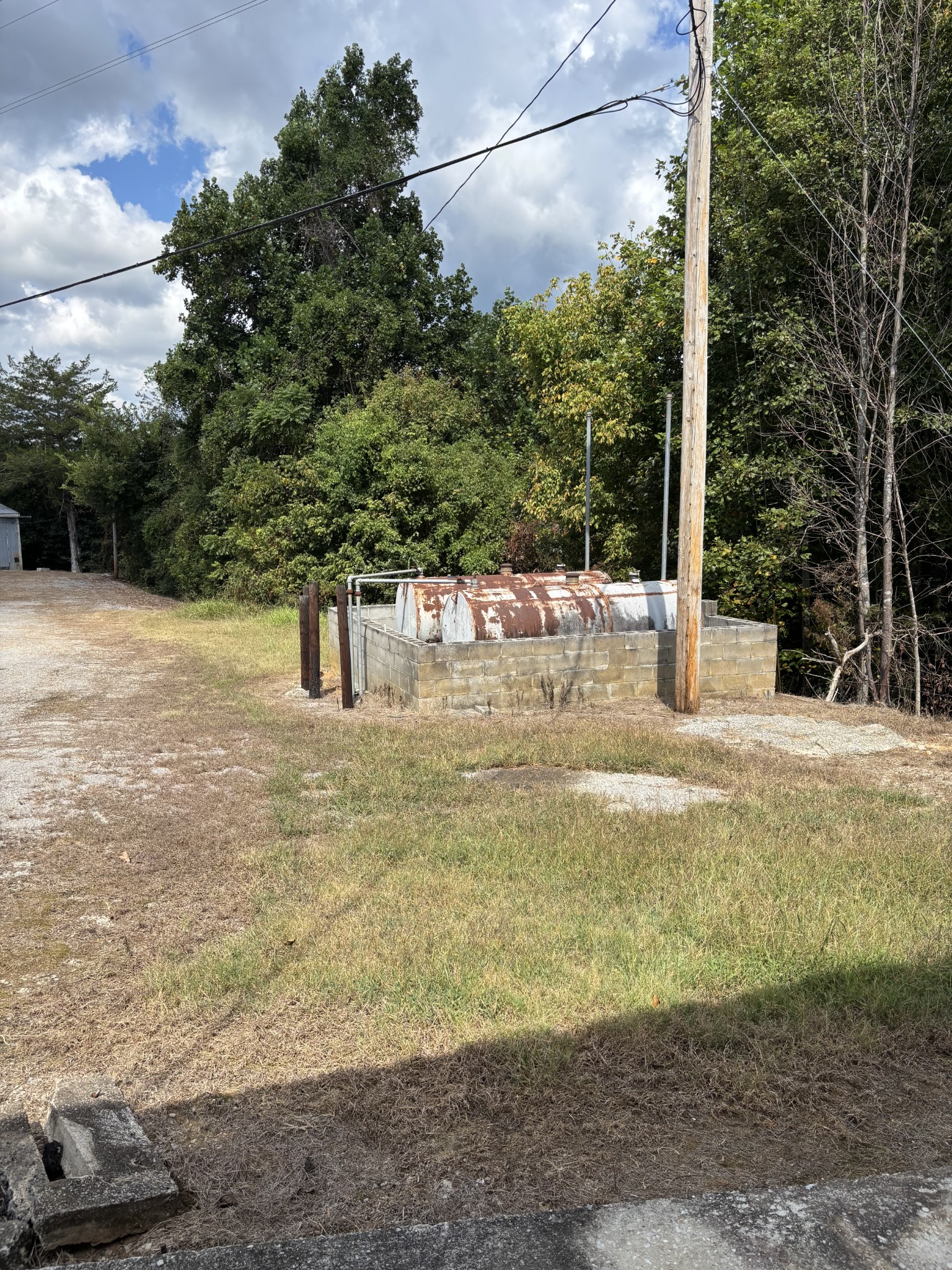 4111 Jefferson Road Smithville, TN 37166 - Photo 8 of 8 a view of a yard with a tree