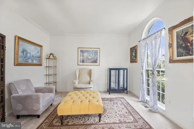 a living room with furniture and a rug