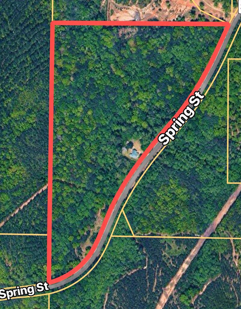 1212 Spring Street Newton, AL 36352 - Photo 48 of 50 Gallery Image 48