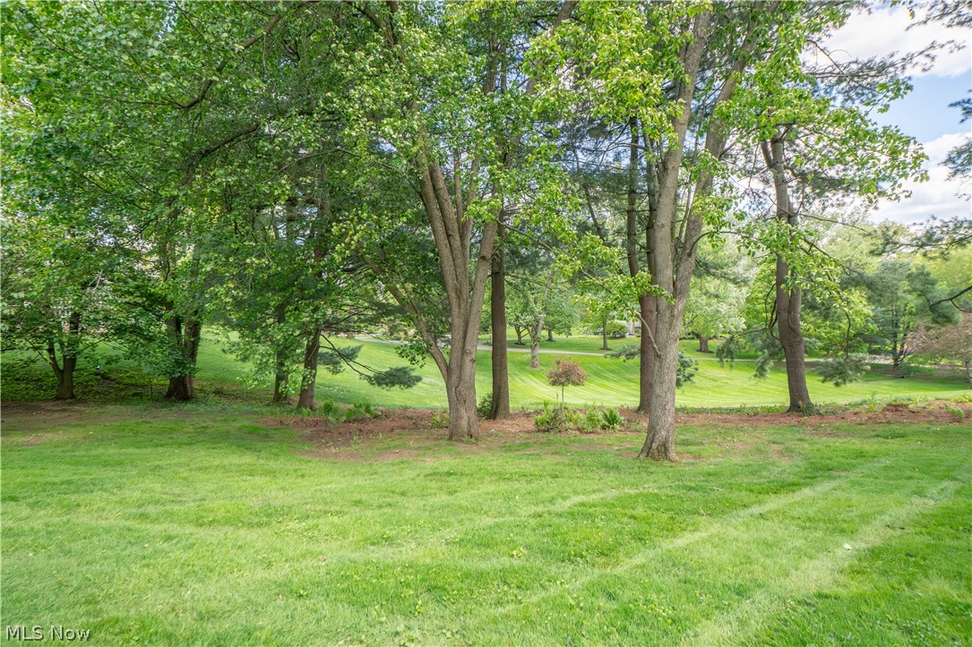 2810 Brentwood Close Northwest Canton, OH 44708 - Photo 45 of 50