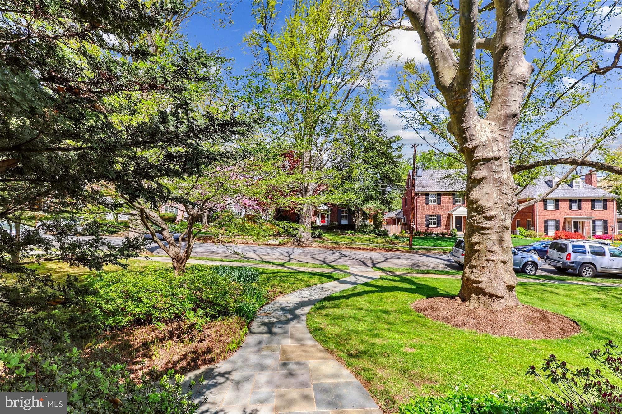 3568 Appleton Street Northwest Washington, DC 20008 - Photo 4 of 57 View out your Front Door