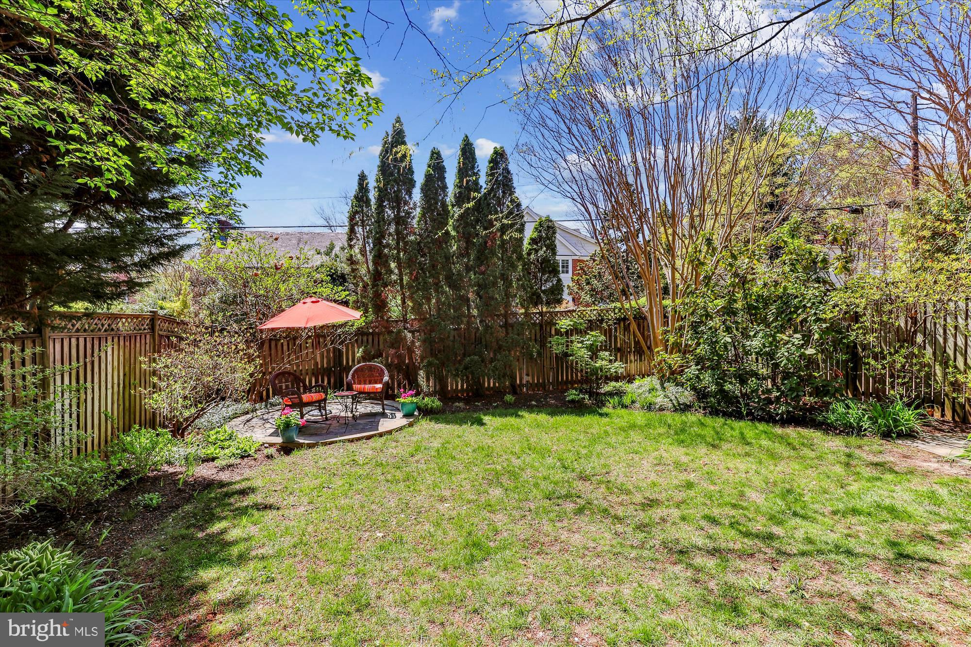 3568 Appleton Street Northwest Washington, DC 20008 - Photo 53 of 57 Fabulous Yard